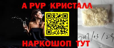 спиды Новокубанск